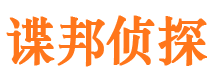 贡井市婚姻调查